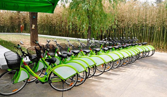 摩洛哥男篮率先响应环保倡议,倡导绿色出行!的简单介绍 摩洛哥男篮率先响应环保倡议,倡导绿色出行!的简单介绍